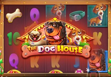 NOVOMATIC - игровой автомат онлайн от Various с RTP 97.92%
